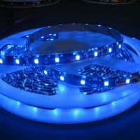 LED diodový pásek 12V, LED 3528, modré světlo, délka 5 metrů 