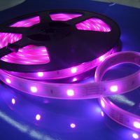 LED diodový pásek 12V, LED 5050, růžové světlo, délka 5 metrů 