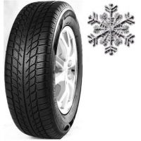 Zimní pneumatika GOODRIDE SW608 - 195/65R15 91H 
