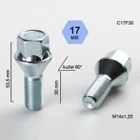 Šroub M14x1,25x30 kužel, klíč 17; výška 53,5  